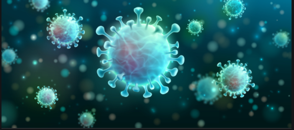 Corona Virus
