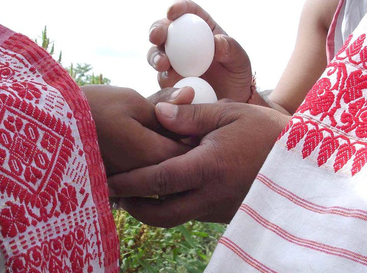 স্বাস্থ্য : মাঘ বিহুত কণী খোৱাটো পৰম্পৰা : আহক জানি লওঁ কণীৰ বিষয়ে কিছু কথা