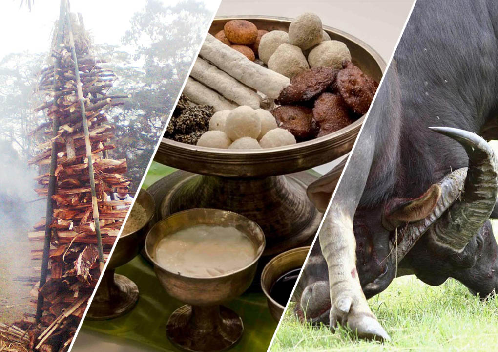 “ভোগৰ ভোগজৰা লৈ আহিছে ভোগালী, উৰুকাৰ উৰুলিত মতলীয়া অসমীয়া জাতি”