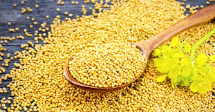 স্বাস্থ্য : সৰিয়হৰ উপকাৰিতা