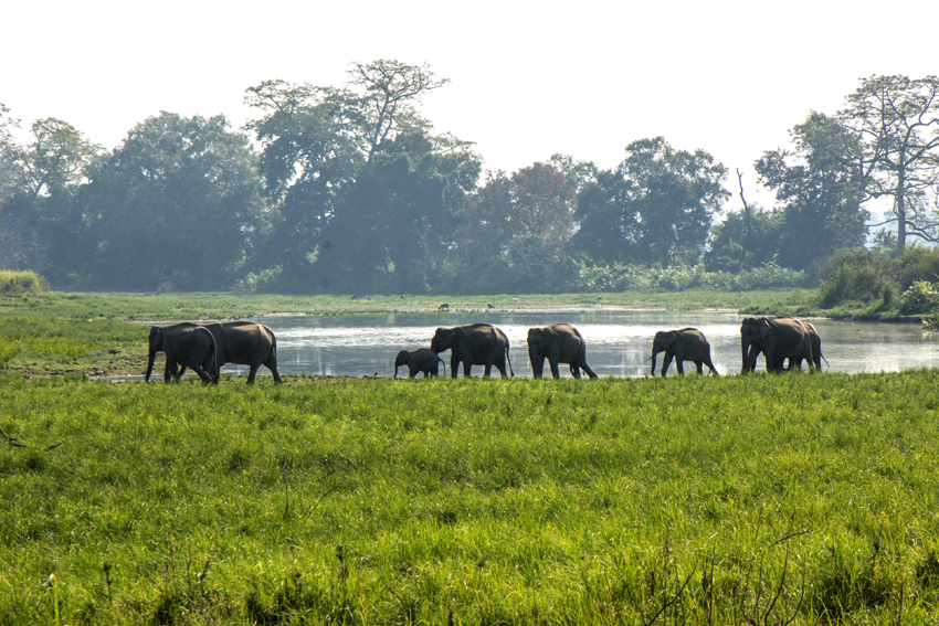 kazi 1 | ASSAM TIMES POST