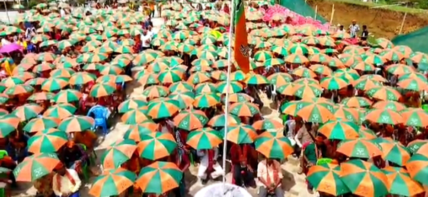 বিজেপি দল