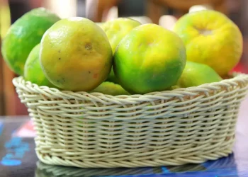 মৌচুমীৰ ৰসৰ স্বাস্থ্য উপাদান আৰু কেইটামান উপকাৰিতা: