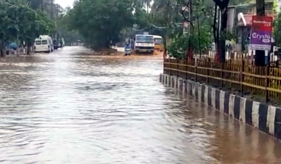 কৃত্ৰিম বানপানী