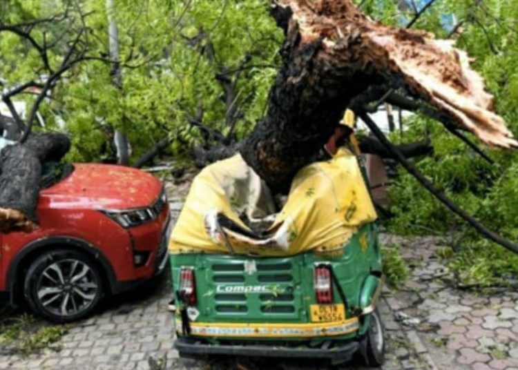 ১০০ কিঃমিঃ গতিবেগৰ ধুমুহাই তছনছ কৰিলে দিল্লী! উৰি গ’ল গছ, মৃত্যু ২ জনৰ