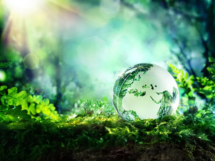 World Environment Day