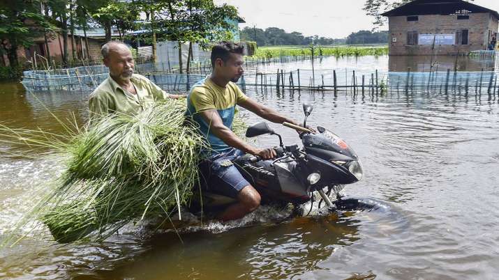 Assam reports four more flood deaths