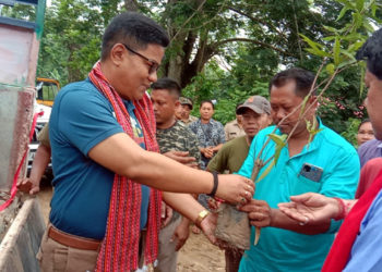 ডিফুত বন বিভাগৰ উদ্যোগত বিশ্ব পৰিৱেশ দিৱস পালন : ৰাইজৰ মাজত গছপুলি বিতৰণ