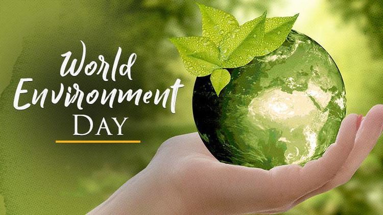 World Environment Day: