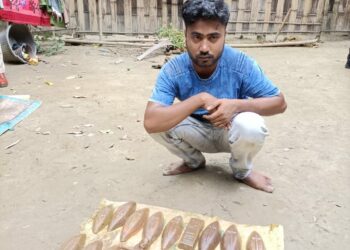 নগাঁও আৰক্ষীৰ এক সক্ৰিয় অভিযানত কাটিমাৰিৰ পৰা আটক সোণৰ নাও সহ এজন ব্যৱসায়ীঃ