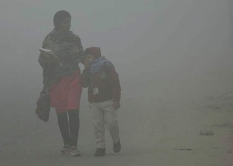 বিষ বতাহত ডুবিছে ৰাজধানী দিল্লী! উশাহ-নিশাহৰ সমস্যাত ভুগিছে ৮০ শতাংশ লোক