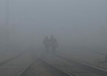 প্ৰদূষণৰ ফলত দিল্লীৰ ৫৩ শতাংশ পৰিয়ালৰ জ্বৰ আৰু উশাহ-নিশাহৰ সমস্যা