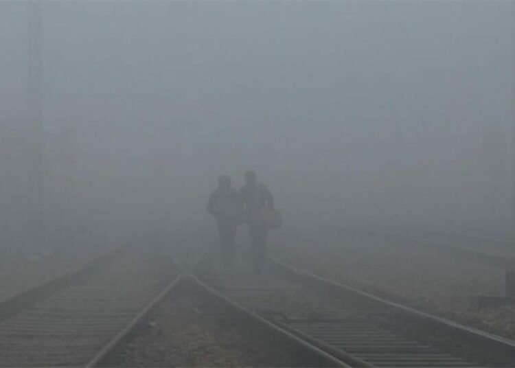 প্ৰদূষণৰ ফলত দিল্লীৰ ৫৩ শতাংশ পৰিয়ালৰ জ্বৰ আৰু উশাহ-নিশাহৰ সমস্যা