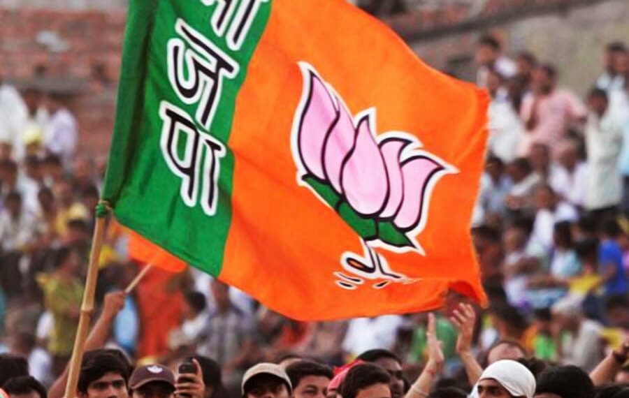 BJP WINS