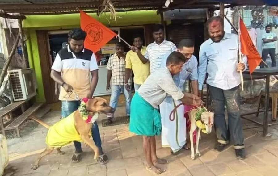 Valentine Day protest