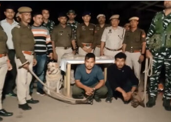 Drugs Seized I স্নিফাৰ ডগৰ জৰিয়তে খটখটীত ২৪ কোটি টকা মূল্যৰ ড্ৰাগছ জব্দ : আটক ২