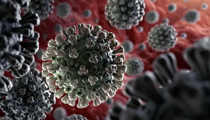 Corona Virus