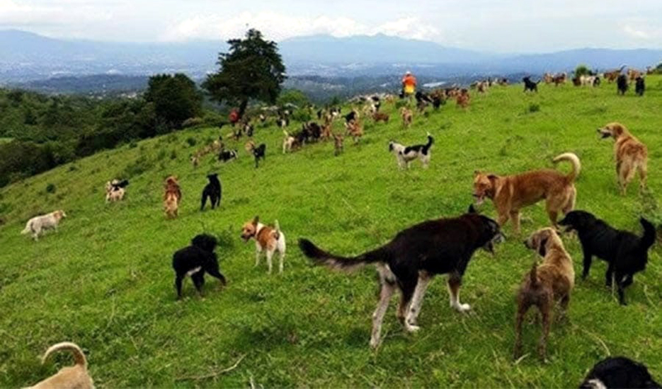 পাক সীমান্ত