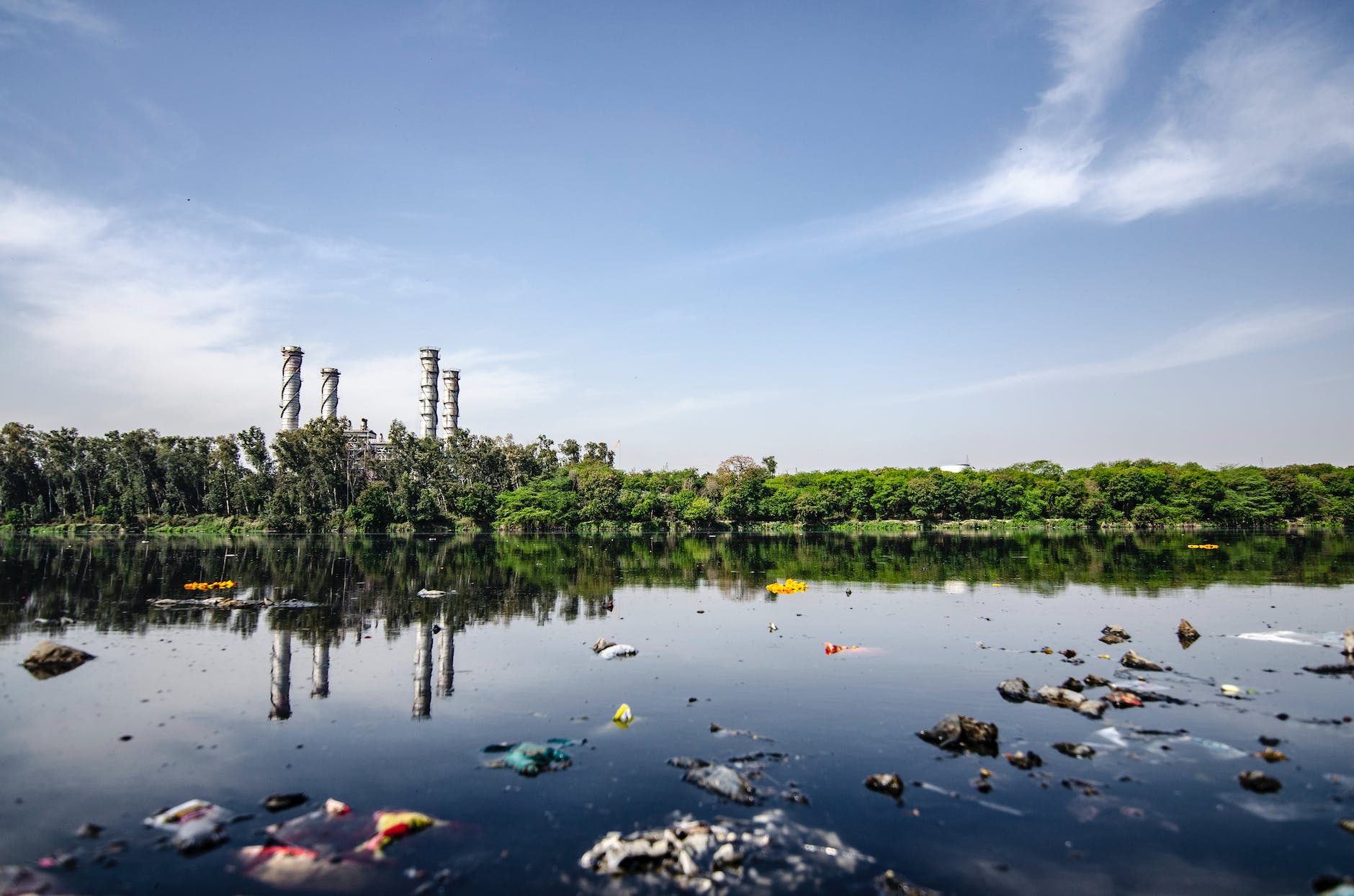 Growing Pollution