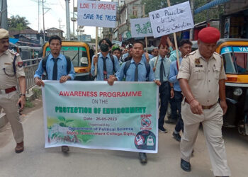 পৰিৱেশ সুৰক্ষাক লৈ ডিফু চৰকাৰী মহাবিদ্যালয় সজাগতা কাৰ্যসূচী