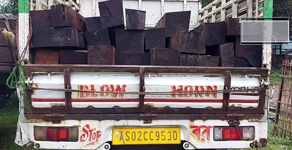  কাঠ ভৰ্তি টাটা মোবাইল বাহন জব্দ