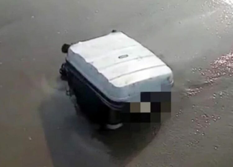 Woman kills mother in Bengaluru |   মাতৃক হত্যা কৰি ছুটকেছত ভৰাই থানাত উপস্থিত! স্তম্ভিত বেংগালুৰু আৰক্ষী