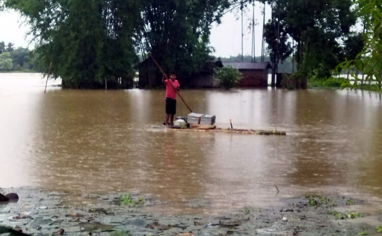 Flood situation in Assam I অসমৰ বান পৰিস্থিতি অধিক শোচনীয়, ৪৪৪ গাঁও পানীৰ তলত