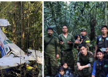 Plane Crash I ভূপতিত বিমানৰ পৰা অলৌকিকভাৱে প্ৰাণৰক্ষা ৪ শিশুৰ! ৪০ দিন পাছত আমাজনৰ অৰণ্যত সন্ধান