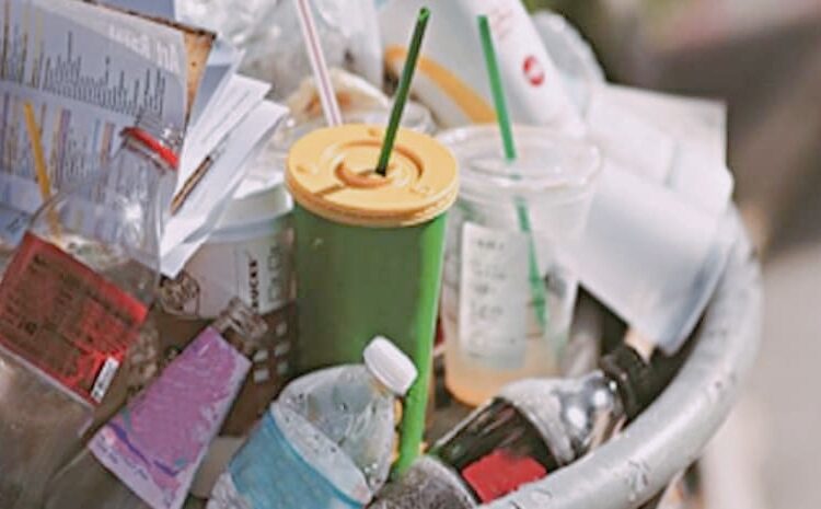 Nagaland Govt. bans single use of plastic I নাগালেণ্ডত সম্পূৰ্ণ নিষিদ্ধ প্লাষ্টিক, ঘৰত ৰাখিলেও ভৰিব লাগিব জৰিমনা