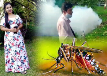 ডিফুত ডেংগু : আজি আকৌ এগৰাকী যুৱতীৰ মৃত্যু, ১৫০৬ জন আক্ৰান্ত