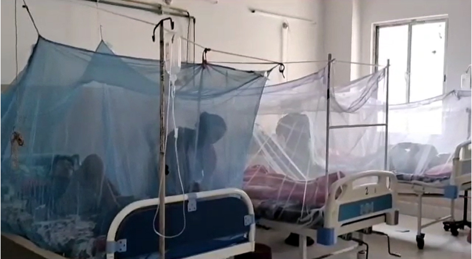 Denguep3 | ASSAM TIMES POST