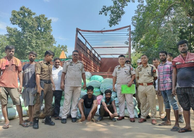 Illegal trafficking of Burmese supari I   ট্ৰাকত গোপন চেম্বাৰ সাজি বাৰ্মিজ চুপাৰিৰ অবৈধ সৰবৰাহ