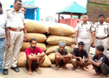Burmese Areca Nut Seized I খটখটীত বুজন পৰিমাণৰ বাৰ্মিজ চুপাৰিসহ ট্ৰাক জব্দ : চাৰিজন আটক