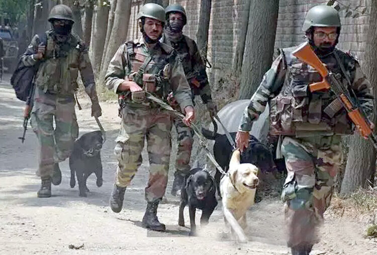 Terrorist attack in Jammu Kashmir I কাশ্মীৰত উগ্ৰপন্থীৰ সৈতে সংঘৰ্ষত শ্বহীদ সেনা আৰু এটা কুকুৰ, এটা উগ্ৰপন্থীও নিহত