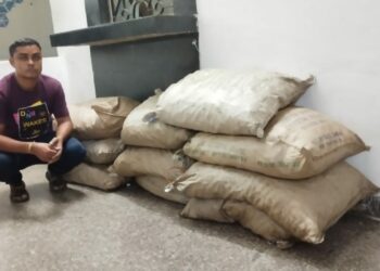 Burmese Supari Seized I ডিফু ৰেল ষ্টেছনত অবৈধ বাৰ্মিজ চুপাৰি সহ এটা সৰবৰাহকাৰী আটক আৰক্ষীৰ