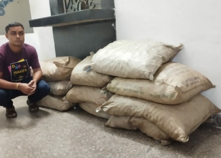 Burmese Supari Seized I ডিফু ৰেল ষ্টেছনত অবৈধ বাৰ্মিজ চুপাৰি সহ এটা সৰবৰাহকাৰী আটক আৰক্ষীৰ 1 Burmese Supari Seized I ডিফু ৰেল ষ্টেছনত অবৈধ বাৰ্মিজ চুপাৰি সহ এটা সৰবৰাহকাৰী আটক আৰক্ষীৰ