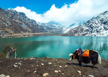 Sikkim tourism : পৰ্যটনৰ ৰম্যভূমি ছিকিমত উৎসৱৰ বতৰত লোকচান প্ৰায় ১৫০ কোটি
