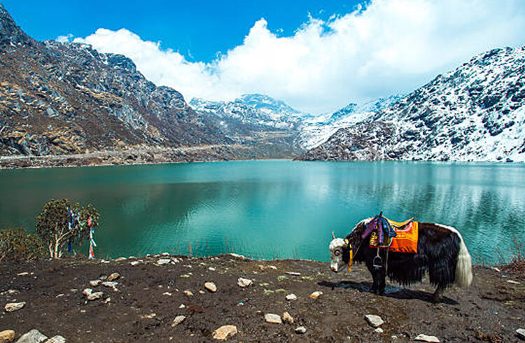 Sikkim tourism : পৰ্যটনৰ ৰম্যভূমি ছিকিমত উৎসৱৰ বতৰত লোকচান প্ৰায় ১৫০ কোটি