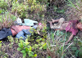 Wild Elephant attacked : বোকাজানত বনৰীয়া হাতীৰ আক্ৰমণত শিশু-মহিলাসহ চাৰিজনৰ মৃত্যু