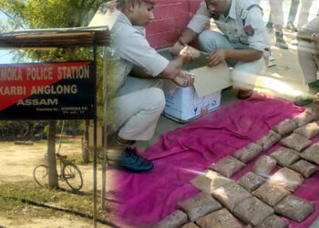 Opium seized in Dokmoka : ডকমকাত বৃহৎ পৰিমাণৰ অ’পিয়াম জব্দ, ট্রাকসহ চালক আৰু হেণ্ডিমেন আটক