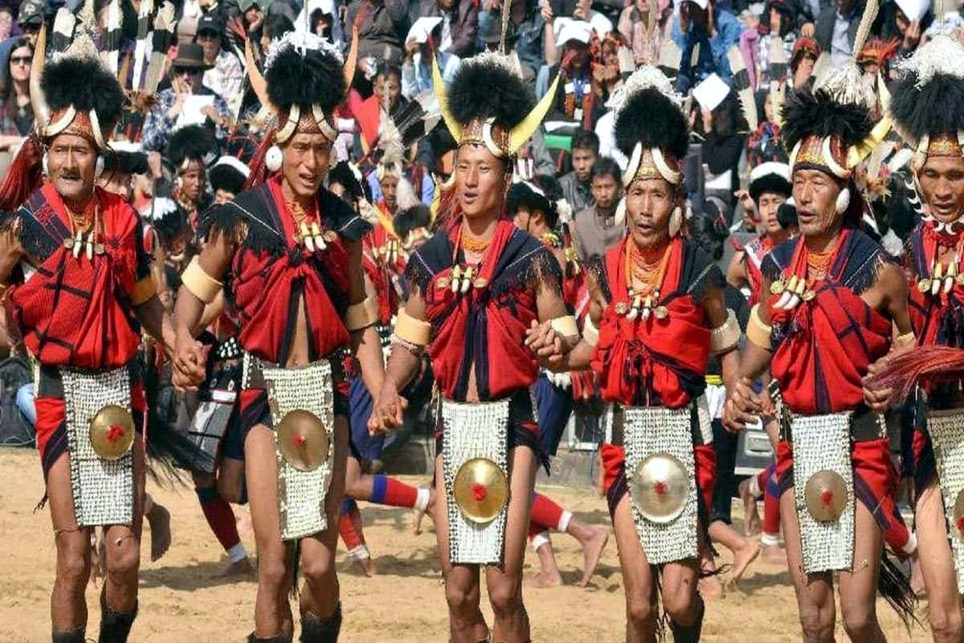 Hornbill0 | ASSAM TIMES POST