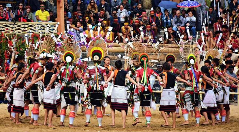 Hornbill2 1 | ASSAM TIMES POST
