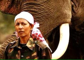 “Trailblazer of the Wild: Parbati Baruah, India’s First Female Mahout and Padma Shri Awardee”