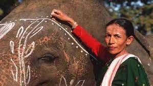 "Trailblazer of the Wild: Parbati Baruah, India's First Female Mahout and Padma Shri Awardee"