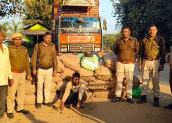Illegal Burmese supari seized I লাহৰিজানত অবৈধ বাৰ্মিজ চুপাৰিসহ সৰবৰাহকাৰী আটক