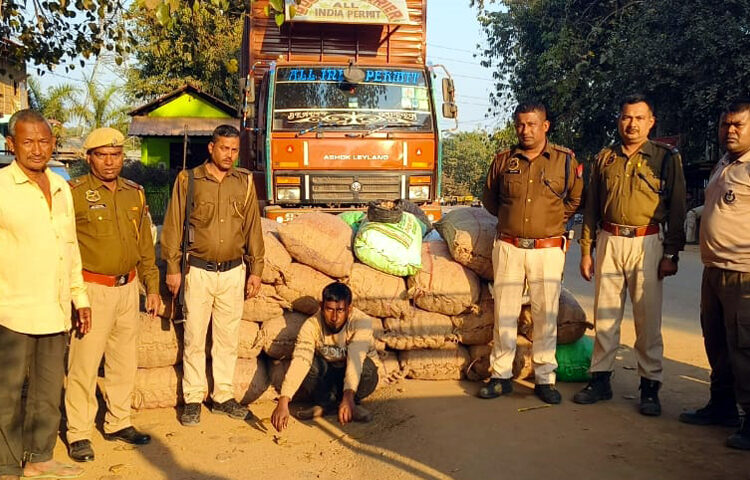 Illegal Burmese supari seized I লাহৰিজানত অবৈধ বাৰ্মিজ চুপাৰিসহ সৰবৰাহকাৰী আটক