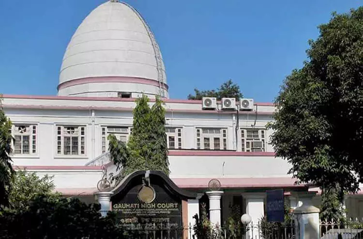 Guwahati High Court Orders Suspension of Buffalo Fights in Assam: