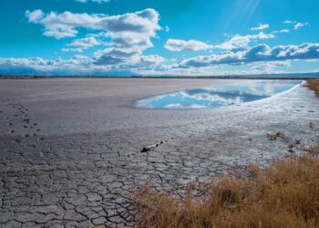 Aral sea I মাত্ৰ ৫০ বছৰতে সম্পূৰ্ণভাৱে শুকাই গ’ল এখন সাগৰ, কাৰণ কি
