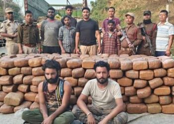 Massive Cannabis Seizure at Tripura Border: Over 1300kg Intercepted on Way to Haryana