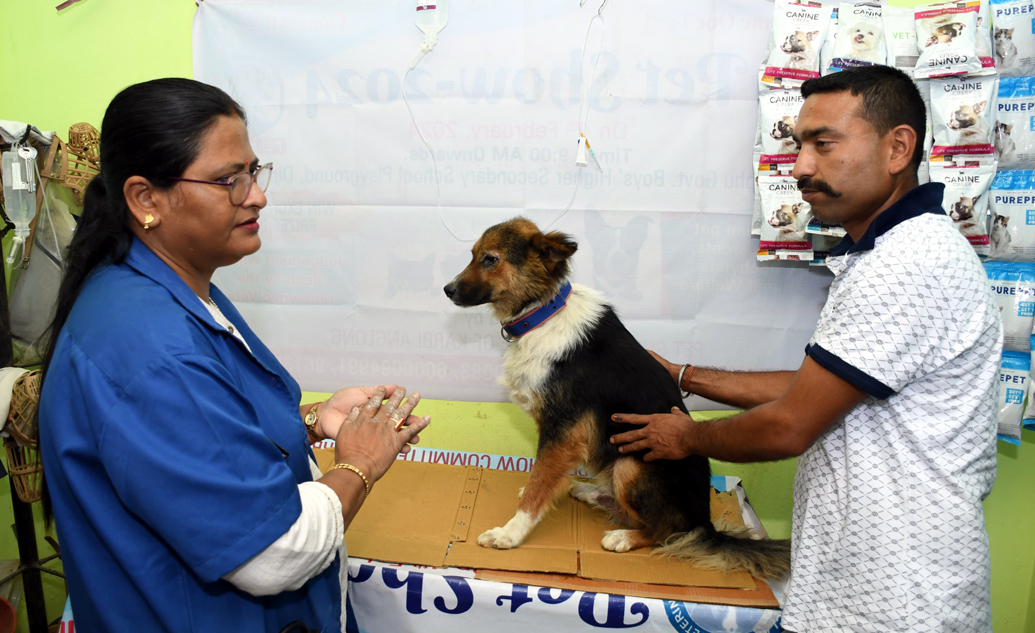 World Veterinary Day I ডিফুত বিশ্ব পশু চিকিৎসা দিৱস পালন 2 ডিফুত বিশ্ব পশু চিকিৎসা দিৱস পালন